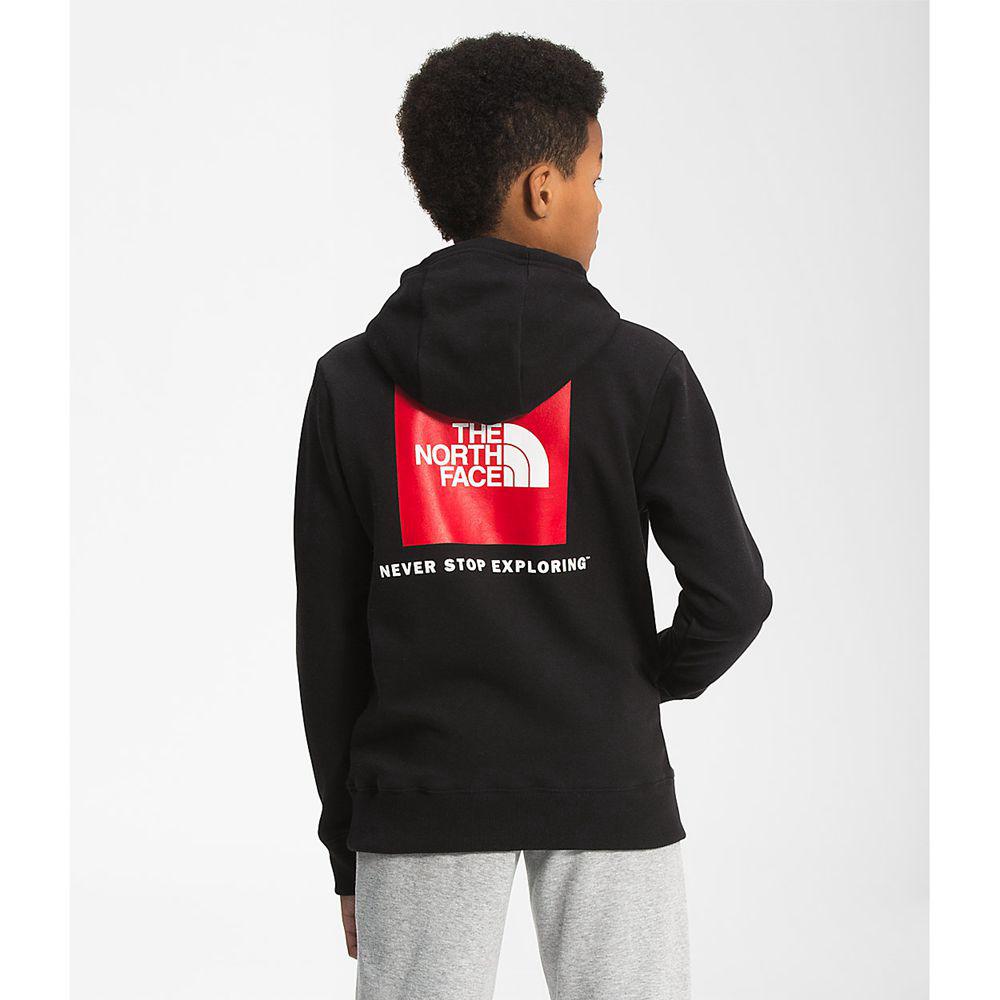 The North Face Camp Fleece Pullover Αγόρια Φούτερ Hoodie - Μαυρα (LDWN26109)